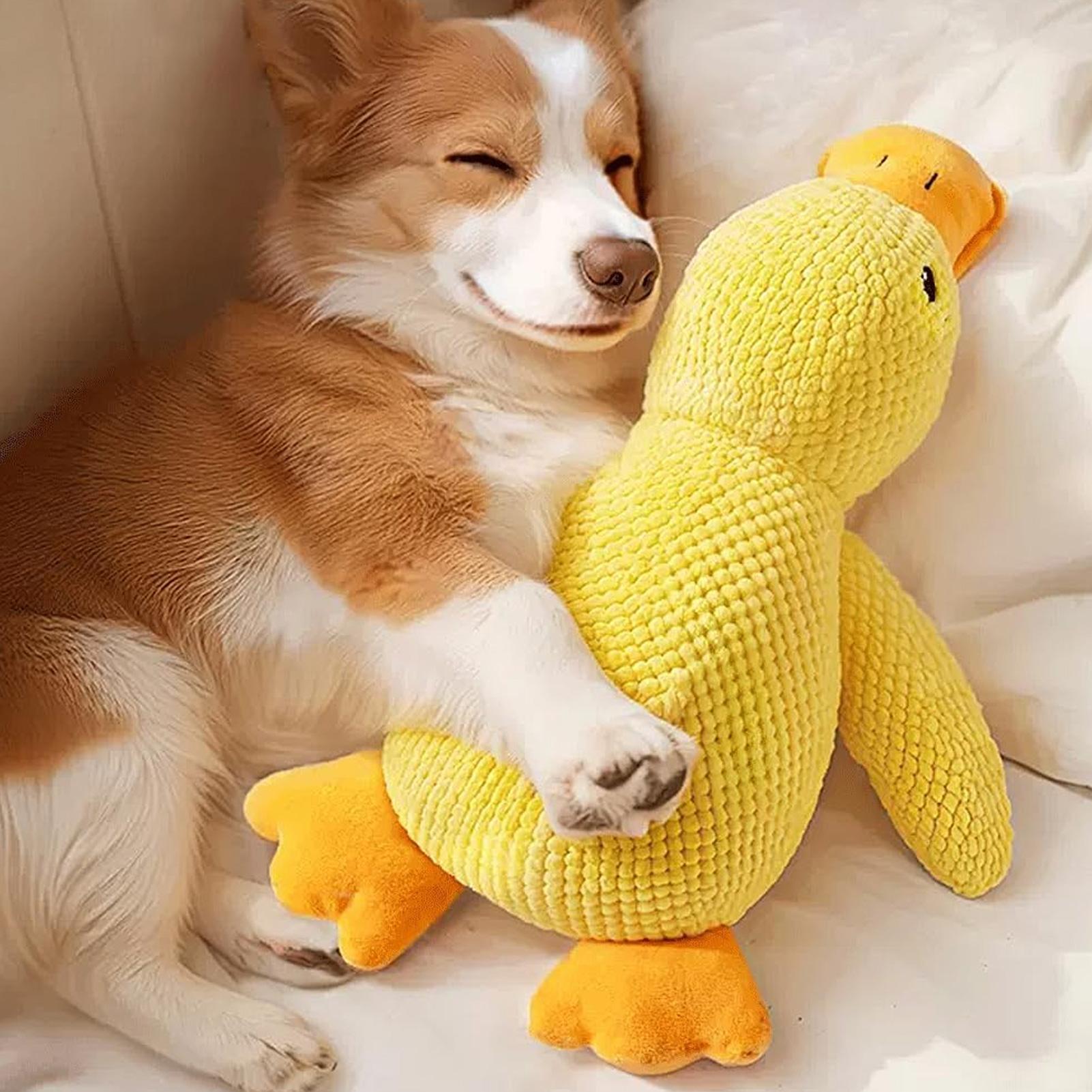 Travel Accessories Comfort - Calming Duck Toy for Dogs Interactive