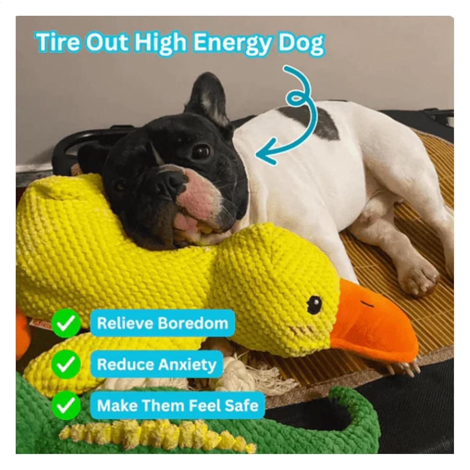 Calming Duck Toy for Dogs Inte - Travel Accessories Comfort recensione e prezzo